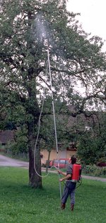 Spritzen von Baumkronen Spritzen von Baumkronen